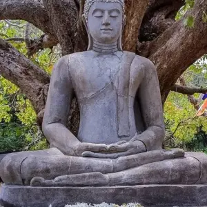 Explore Sri Lanka 4 Days Itinerary for 4 days with Holiday Lanka Tours and discover unforgettable experiences - Photo 5