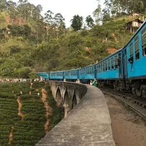 Explore Sri Lanka 4 Nights 5 Days Itinerary for 5 days with Holiday Lanka Tours and discover unforgettable experiences - Photo 7