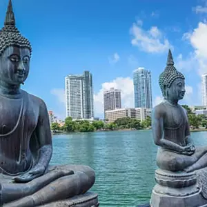 Explore 4 Days in Sri Lanka Itinerary for 4 days with Holiday Lanka Tours and discover unforgettable experiences - Photo 8