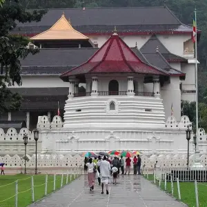 Explore Sri Lanka 6 Nights 7 Days Itinerary for 7 days with Holiday Lanka Tours and discover unforgettable experiences - Photo 3