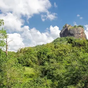 Explore Sri Lanka Itinerary 14 Days for 14 days with Holiday Lanka Tours and discover unforgettable experiences - Photo 4