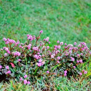 Explore Sri Lanka Itinerary 14 Days for 14 days with Holiday Lanka Tours and discover unforgettable experiences - Photo 6