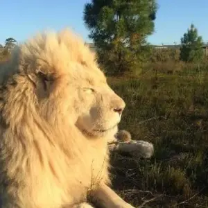 Explore 2 day Wow Cape Escape for 2 days with Hotspots2c and discover unforgettable experiences - Photo 4