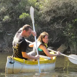 Explore 3 day Garden Route + Safari Highlights Tour from Cape Town for 3 days with Hotspots2c and discover unforgettable experiences - Photo 3