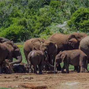 Explore 7 day Garden Route, Cape Point and Winelands Combo for 7 days with Hotspots2c and discover unforgettable experiences - Photo 3