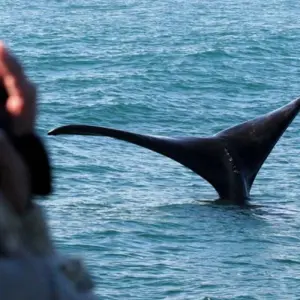 Explore 2 day Wow Cape Escape for 2 days with Hotspots2c and discover unforgettable experiences - Photo 8