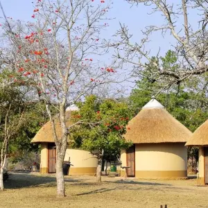 Explore 3 day Kruger Safari Bush Escape for 3 days with Hotspots2c and discover unforgettable experiences - Photo 4