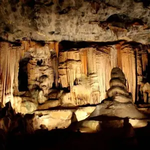 Explore 5 day Best of South Africa Highlights: Garden Route with Addo National Park for 5 days with Hotspots2c and discover unforgettable experiences - Photo 6