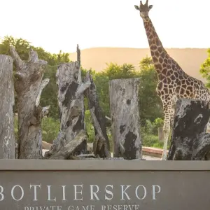 Explore 3 day Garden Route + Safari Highlights Tour from Cape Town for 3 days with Hotspots2c and discover unforgettable experiences - Photo 6