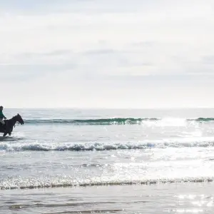 Explore 7 day Garden Route, Cape Point and Winelands Combo for 7 days with Hotspots2c and discover unforgettable experiences - Photo 5