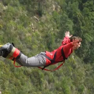 Explore 10 day Cape & Garden Route Combo - optional accommodation for 10 days with Hotspots2c and discover unforgettable experiences - Photo 6