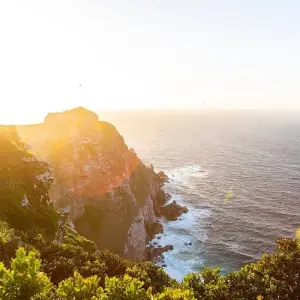 Explore 7 day Garden Route, Cape Point and Winelands Combo for 7 days with Hotspots2c and discover unforgettable experiences - Photo 7