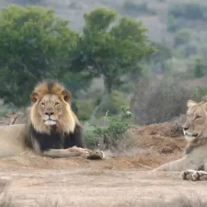 Explore 10 day Cape & Garden Route Combo - optional accommodation for 10 days with Hotspots2c and discover unforgettable experiences - Photo 7