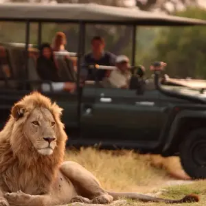 Explore 3 day Kruger Safari Bush Escape for 3 days with Hotspots2c and discover unforgettable experiences - Photo 7