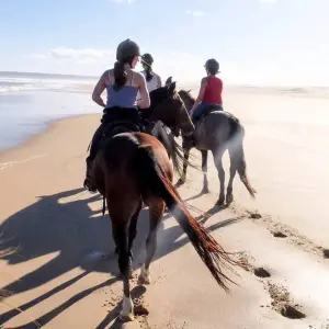 Explore 5 day Best of South Africa Highlights: Garden Route with Addo National Park for 5 days with Hotspots2c and discover unforgettable experiences - Photo 9