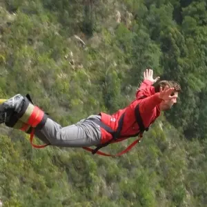 Explore 3 day Garden Route + Safari Highlights Tour from Cape Town for 3 days with Hotspots2c and discover unforgettable experiences - Photo 9