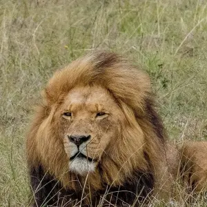 Explore 10 day Cape & Garden Route Combo - optional accommodation for 10 days with Hotspots2c and discover unforgettable experiences - Photo 8