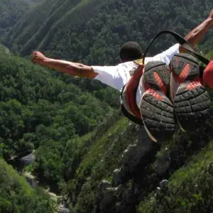 Explore 7 day Garden Route, Cape Point and Winelands Combo for 7 days with Hotspots2c and discover unforgettable experiences - Photo 9