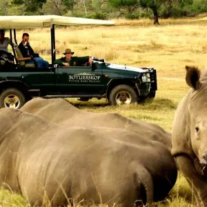 Explore 3 day Garden Route + Safari Highlights Tour from Cape Town for 3 days with Hotspots2c and discover unforgettable experiences - Photo 11