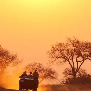 Explore 3 day Kruger Safari Bush Escape for 3 days with Hotspots2c and discover unforgettable experiences - Photo 10