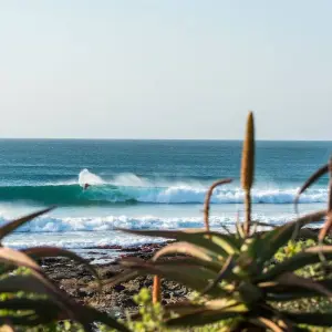 Explore 7 day Garden Route, Cape Point and Winelands Combo for 7 days with Hotspots2c and discover unforgettable experiences - Photo 11