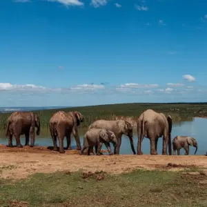 Explore 10 day Cape & Garden Route Combo - optional accommodation for 10 days with Hotspots2c and discover unforgettable experiences - Photo 10