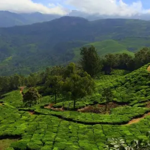 Explore Best of Kerala for 8 days with Holidays At and discover unforgettable experiences - Photo 6