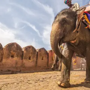 Explore Golden Triangle with Goa for 11 days with Holidays At and discover unforgettable experiences - Photo 10