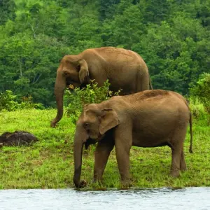 Explore Kerala Backwater With Exotic Beaches for 7 days with Holidays At and discover unforgettable experiences - Photo 7
