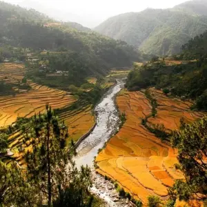 Explore Hill Stations Tour of Himalayas for 12 days with Holidays At and discover unforgettable experiences - Photo 9