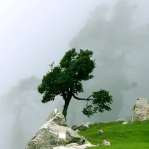 Explore Shimla Dharamshala Tour for 13 days with Holidays At and discover unforgettable experiences - Photo 3