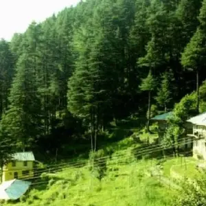 Explore Shimla Dharamshala Tour for 13 days with Holidays At and discover unforgettable experiences - Photo 4