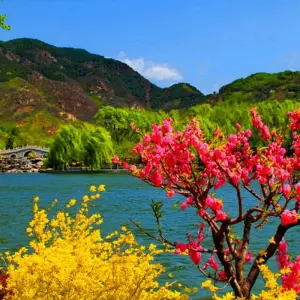 Explore Amazing Kashmir for 8 days with Holidays At and discover unforgettable experiences - Photo 2