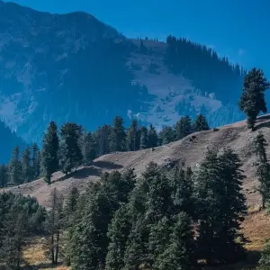 Explore Amazing Kashmir for 8 days with Holidays At and discover unforgettable experiences - Photo 4