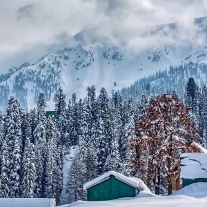 Explore Amazing Kashmir for 8 days with Holidays At and discover unforgettable experiences - Photo 6
