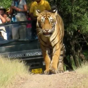 Explore North India Trip with Varanasi for 20 days with Holidays At and discover unforgettable experiences - Photo 6