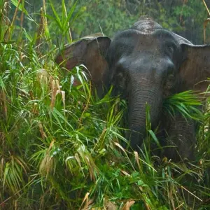 Explore Premium North and South India Tour for 22 days with Holidays At and discover unforgettable experiences - Photo 7