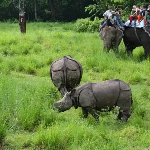 Explore Premium Nepal Tour for 11 days with Holidays At and discover unforgettable experiences - Photo 7