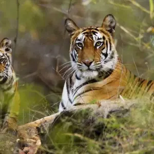 Explore Premium North and South India Tour for 22 days with Holidays At and discover unforgettable experiences - Photo 8