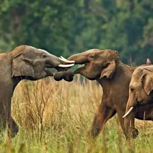 Explore Premium India and Nepal Tour for 21 days with Holidays At and discover unforgettable experiences - Photo 10