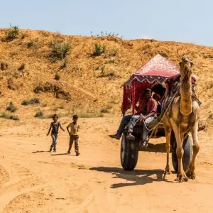 Explore Rajasthan Highlights Tour for 11 days with Holidays At and discover unforgettable experiences - Photo 6