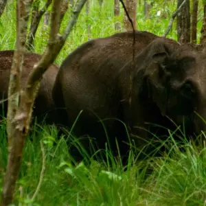 Explore Best of South India Tour for 13 days with Holidays At and discover unforgettable experiences - Photo 3