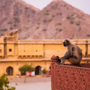 Explore Jewels of India Tour for 21 days with Holidays At and discover unforgettable experiences - Photo 7