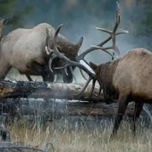 Explore India Highlights with Varanasi for 12 days with Holidays At and discover unforgettable experiences - Photo 5