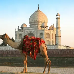 Explore Jewels of India Tour for 21 days with Holidays At and discover unforgettable experiences - Photo 9