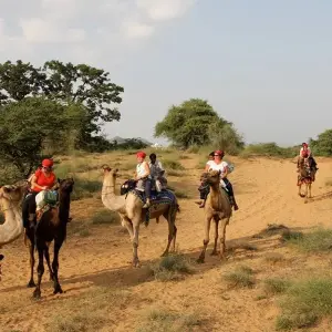 Explore Rajasthan Tour from New Delhi for 17 days with Holidays At and discover unforgettable experiences - Photo 7