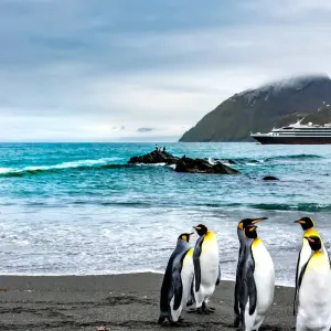 Explore Highlights of Antarctica (MS Roald Amundsen, 2025) for 12 days with Hurtigruten and discover unforgettable experiences - Photo 3