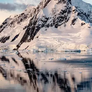 Explore Antarctic Circle Expedition (2026) for 18 days with Hurtigruten and discover unforgettable experiences - Photo 2