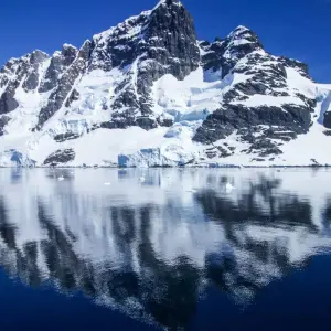 Explore Highlights of Antarctica (MS Roald Amundsen, 2025) for 12 days with Hurtigruten and discover unforgettable experiences - Photo 5