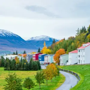 Explore Iceland and Beyond - Reykjavík to Hamburg via Scotland's Northern Isles for 15 days with Hurtigruten and discover unforgettable experiences - Photo 8